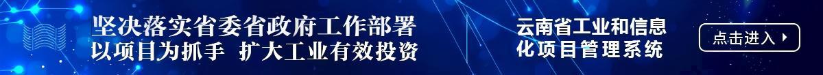 云南省工业和信息化项目管理系统