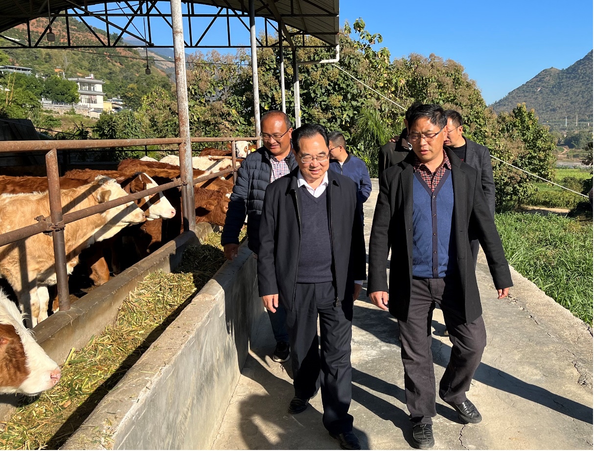 4adf26c8421f481ba63bf3004dad07fa.png 4adf26c8421f481ba63bf3004dad07fa.png